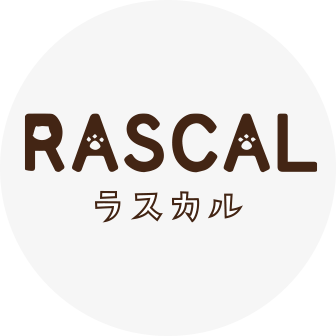 チョココラボ　あらいぐま　ラスカル　ロゴ